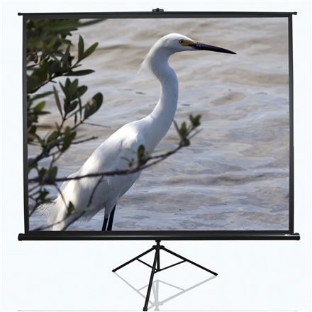 Elite Screens | Tripod Series | T100UWV1 | Diagonal 100 " | 4:3 | Viewable screen width (W) 203 cm | Black|T100UWV1