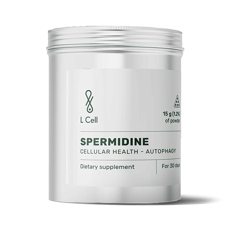 L Cell Spermidinas (milteliai, 15g)