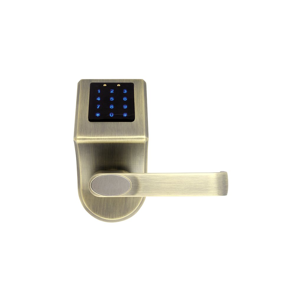 Rankena su įeigos valdikliu Eura ELH-80B9 BRASS
