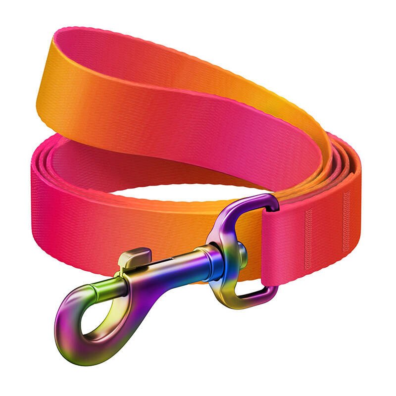 WAUDOG graduotas nailoninis šunų pavadėlis, ilgis 122 cm, oranžinė