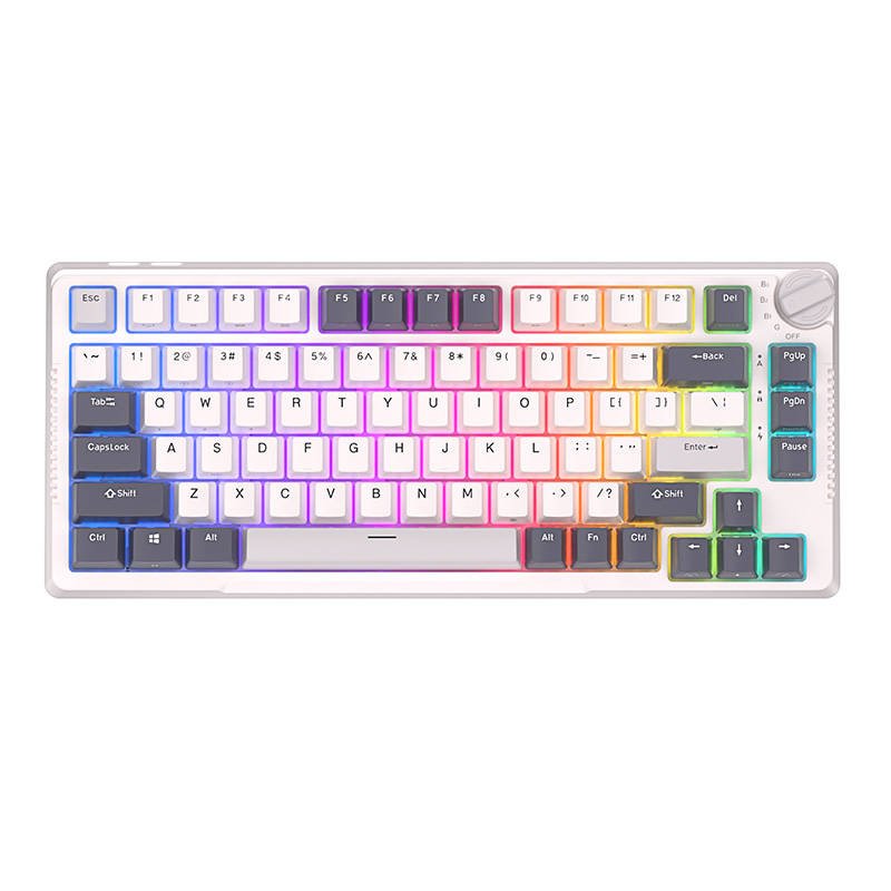Mechaninė klaviatūra Royal Kludge RKH81 RGB, Sky cyan switch (balta)