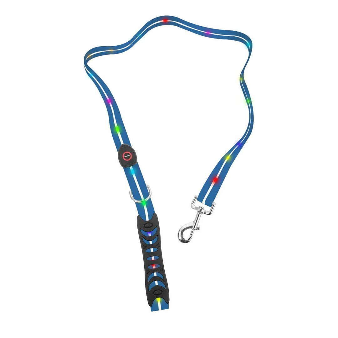 Signal leash LED form big and medium dogs, blue