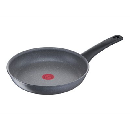 TEFAL | Healthy Chef Pan | G1500472 | Frying | Diameter 24 cm | Suitable for induction hob | Fixed handle|G1500472
