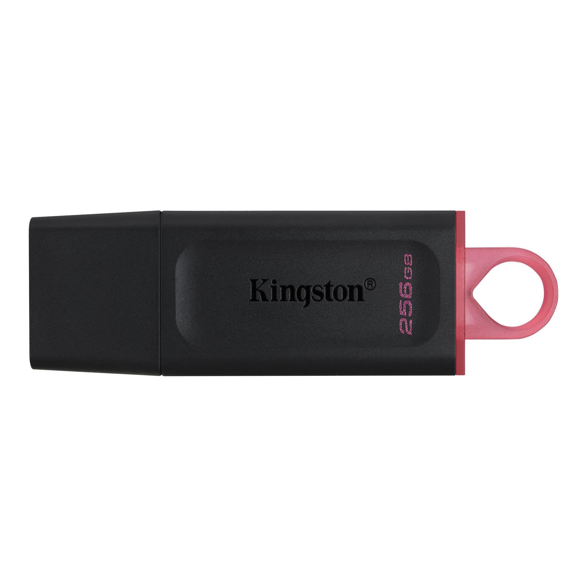 USB raktas KINGSTON DTX/256GB