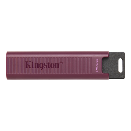 USB raktas KINGSTON DataTraveler MAX 256GB,USB 3.2