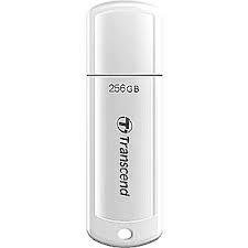 USB raktas TRANSCEND TS256GJF730