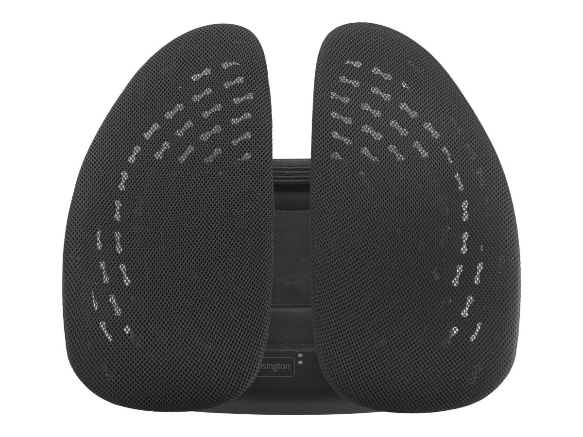 KENSINGTON K60412WW SmartFit Conform Back Support
