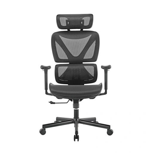 ART ERGONOMIC SWIVEL OFFICE CHAIR CH-02