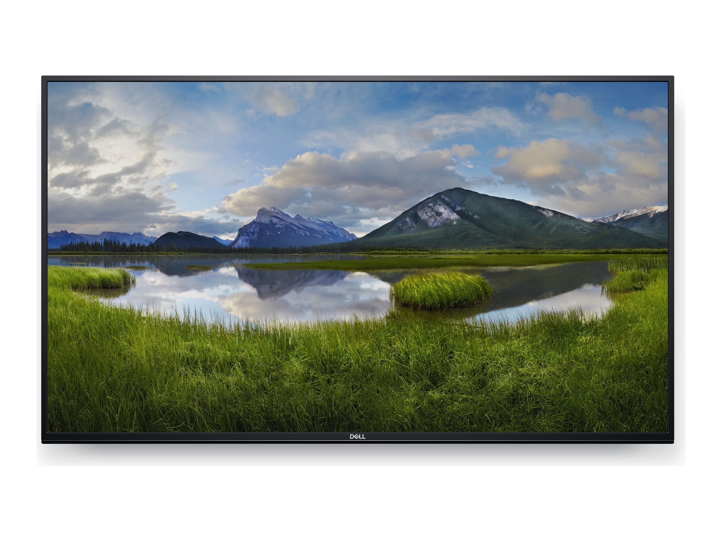 Dell | 4K Conference Room Monitor | P5524Q | 55 " | Landscape | 8 ms | 178 ° | 178 °