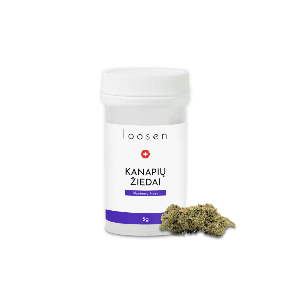 LOOSEN BLUEBERRY HAZE kanapės – 18%