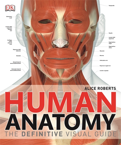 Human Anatomy