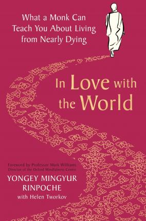 In Love with the World : Whata Monk Can Teach You About Liv