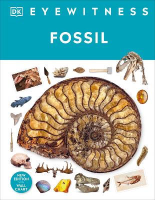 Fossil DK Eyewitness