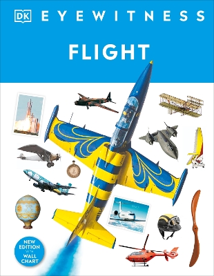 Flight DK Eyewitness