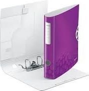 Segregator Esselte A4 50mm purple (ESSX1145)