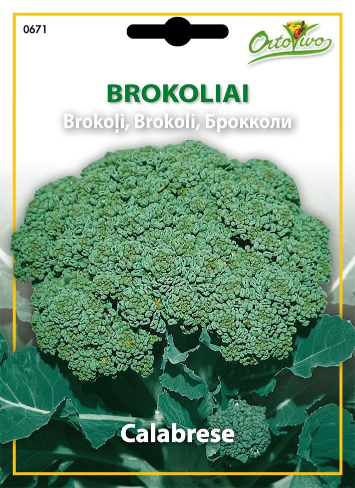 Brokolių sėklos BROCCOLO CALABRESE MEDIO PRECOCE, 2,5 g