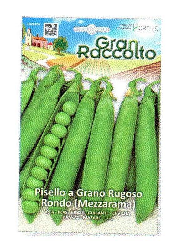 Aukštaūgių žirnių sėklos RONDO, 50 g