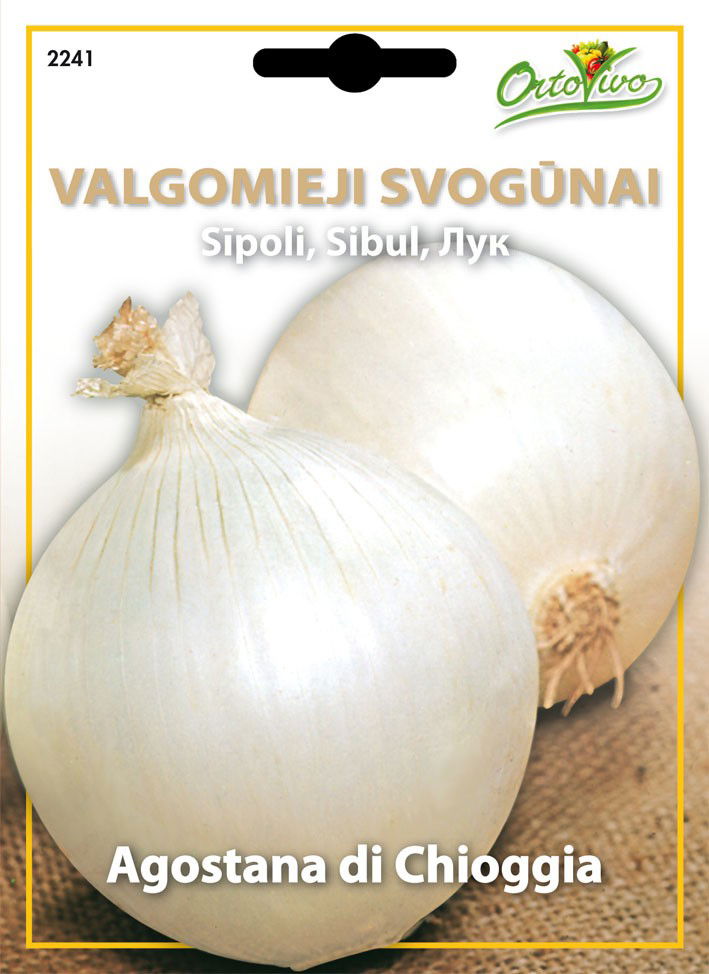 Svogūnų sėklos BIANCA AGOSTANA DI CHIOGGIA, 2,2 g