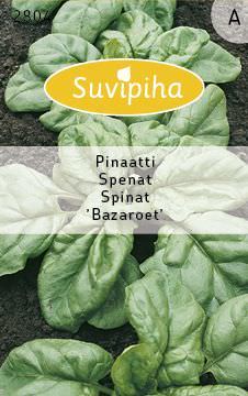Daržinių špinatų BAZAROET sėklos, 5 g