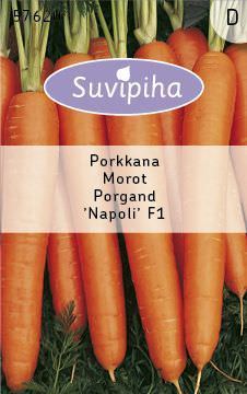 Ankstyvųjų morkų NAPOLI F1 sėklos, 700 vnt./pak