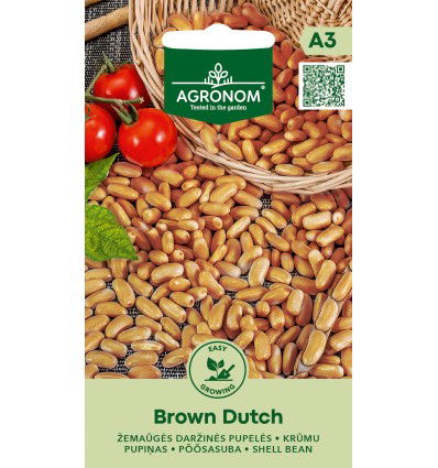 Žemaūgių daržinių pupelių sėklos BROWN DUTCH, 8 g