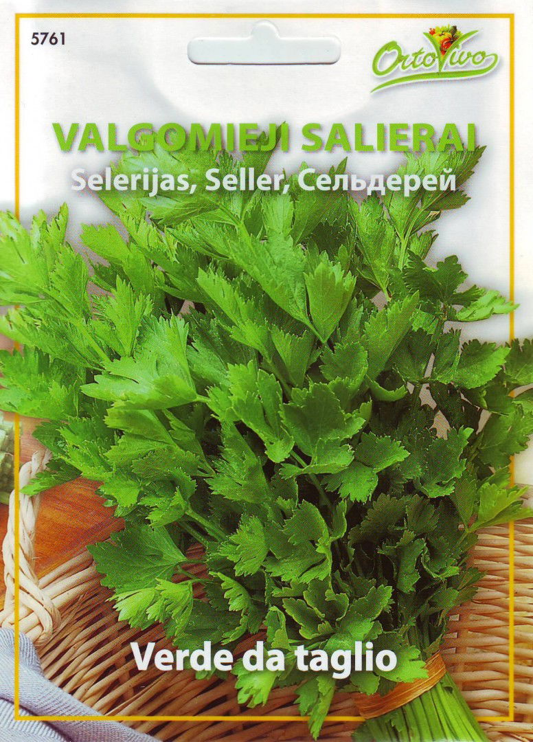 Salierų sėklos VERDE DA TAGLIO, 2 g