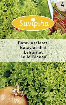 Sėjamųjų salotų LOLLO BIONDA sėklos, 1 g