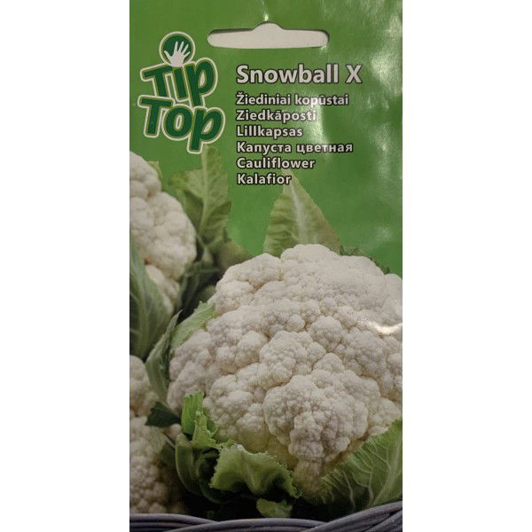 Žiedinių kopūstų sėklos SNOWBALL X, 0,5 g