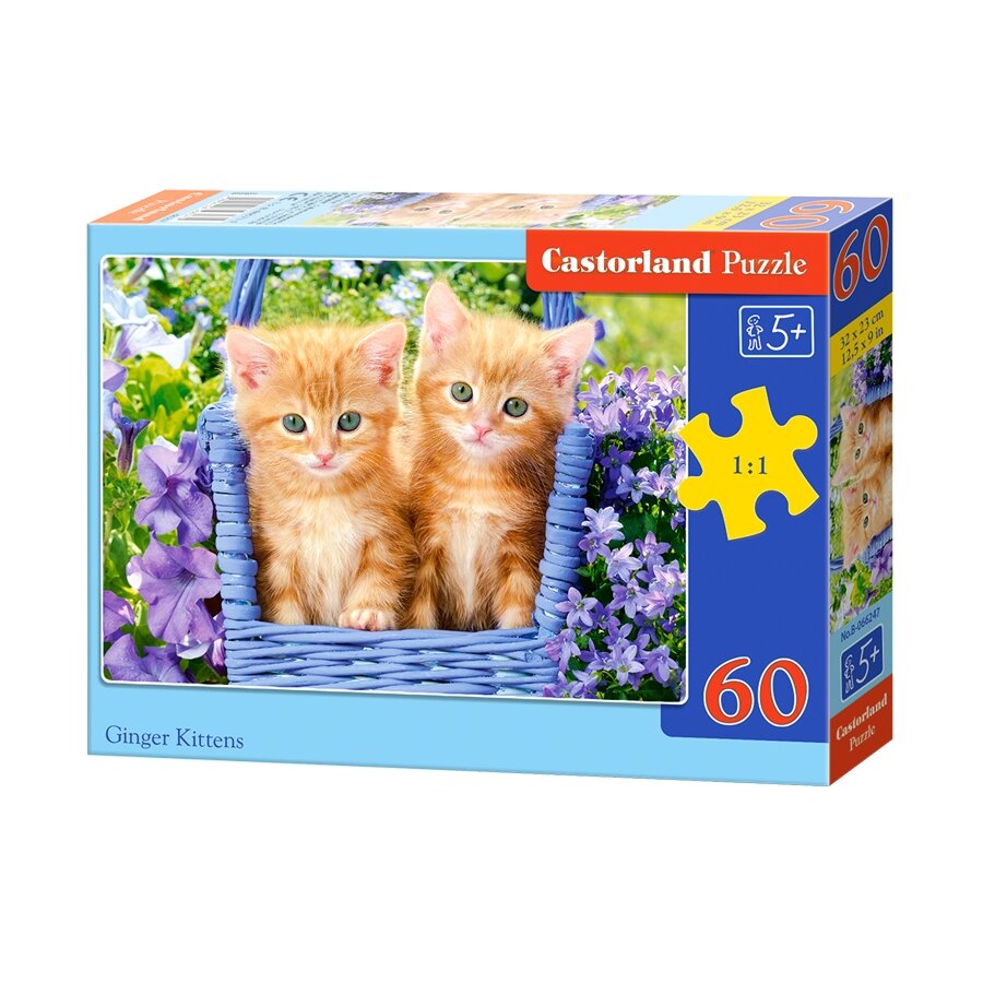 Castorland dėlionė GINGER KITTENS 60 det.