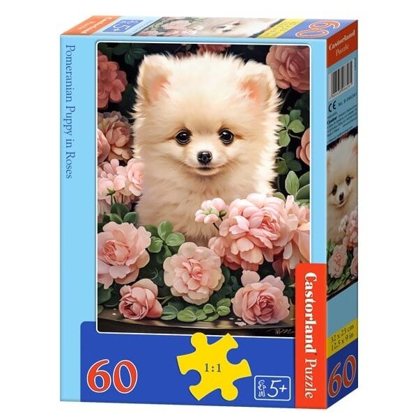 Castorland dėlionės Pomeranian Puppy in Roses 60 det.