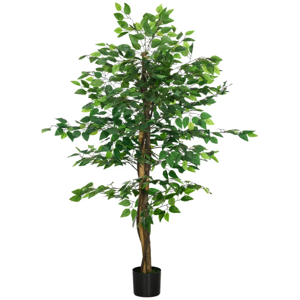 Dirbtinis augalas, 150 cm, dirbtinės samanos, dirbtinis fikusas