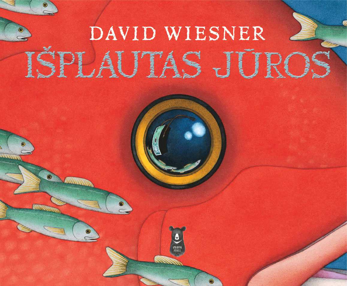 DAVID WIESNER Išplautas jūros