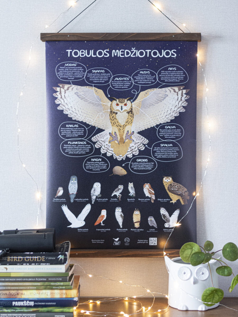 Plakatas „Tobulos medžiotojos. 13 Lietuvos pelėdų“