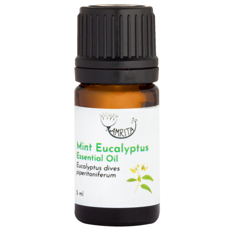 Mėtinių eukaliptų eterinis aliejus AMRITA, 5 ml