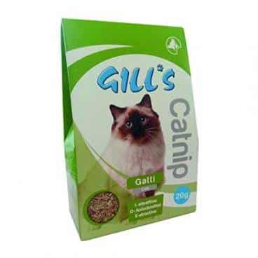 CROCI GILL'S CATNIP Katažolė Katėms 20g