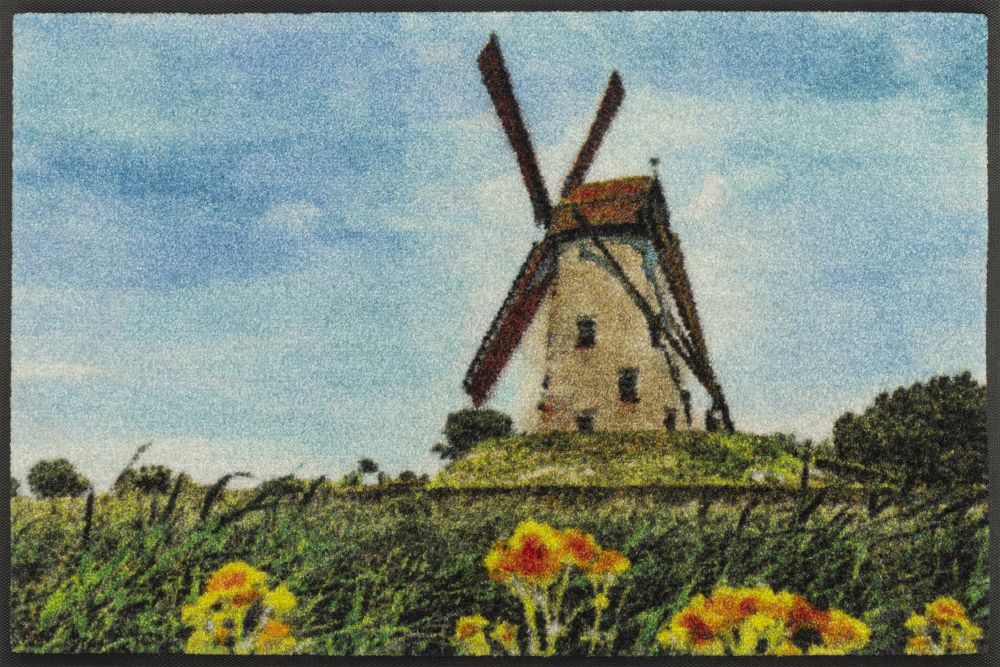 Kilimėlis WINDMOLEN 50/75 cm