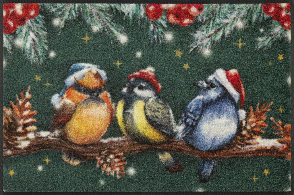Kilimėlis MAGIC BIRDS 50/75 cm