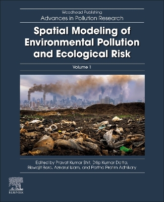 Spatial Modeling of Environmental Pollution and Ecological Risk