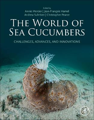 The World of Sea Cucumbers