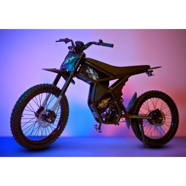 Krosinis motociklas GT73 elektrinis dviratis off-road dirt bike 1000W 48V 2x18,2Ah