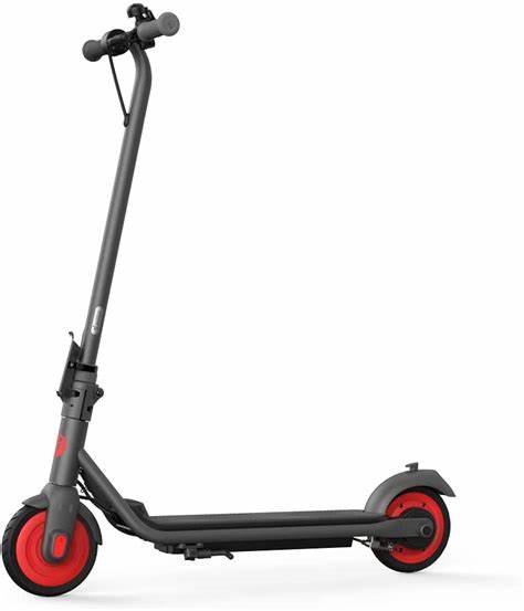 Vaikiškas el.paspirtukas Segway Ninebot eKickscooter ZING C20, Grey