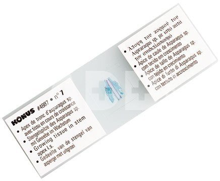 Konus Preparation Set Zoology 1 (10 Pcs)