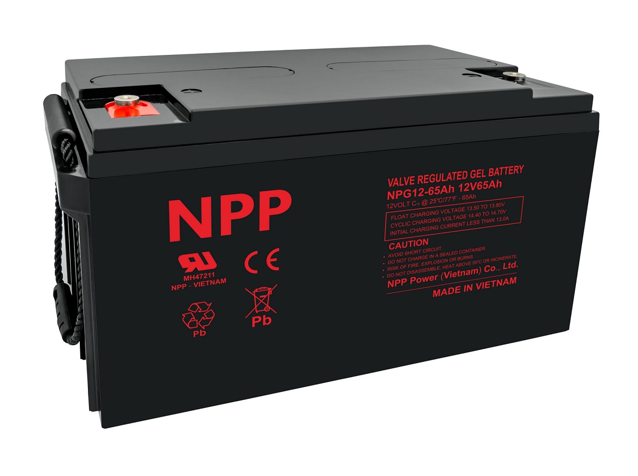 Akumuliatorius 12V 65Ah, Pb GEL (želinis) T14(M6) NPP