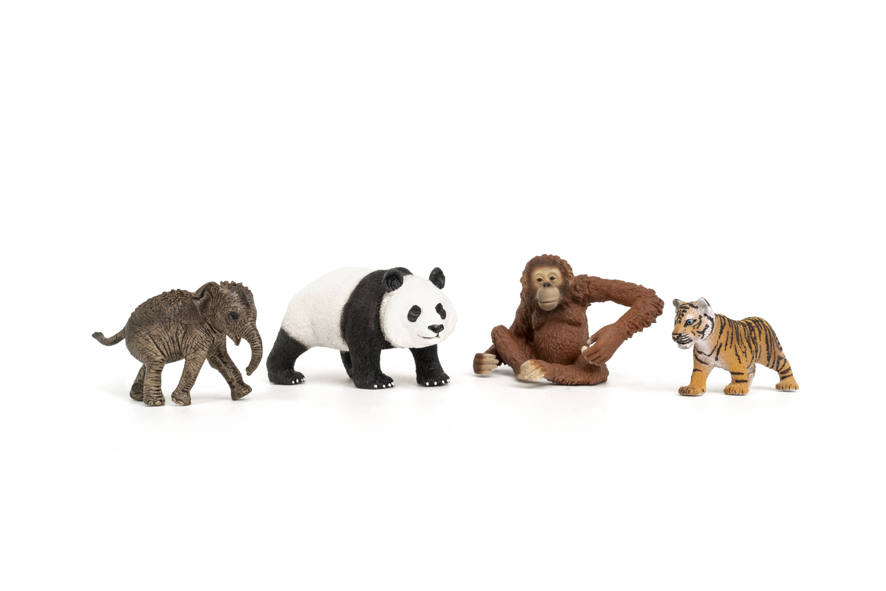 SCHLEICH WILD LIFE Wild Life Pradinis Rinkinys