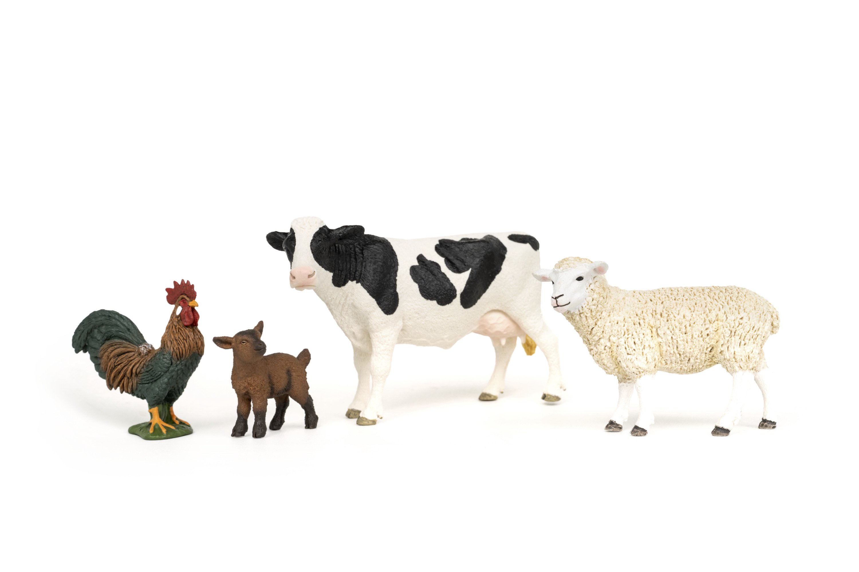 SCHLEICH FARM WORLD Pradinis Rinkinys