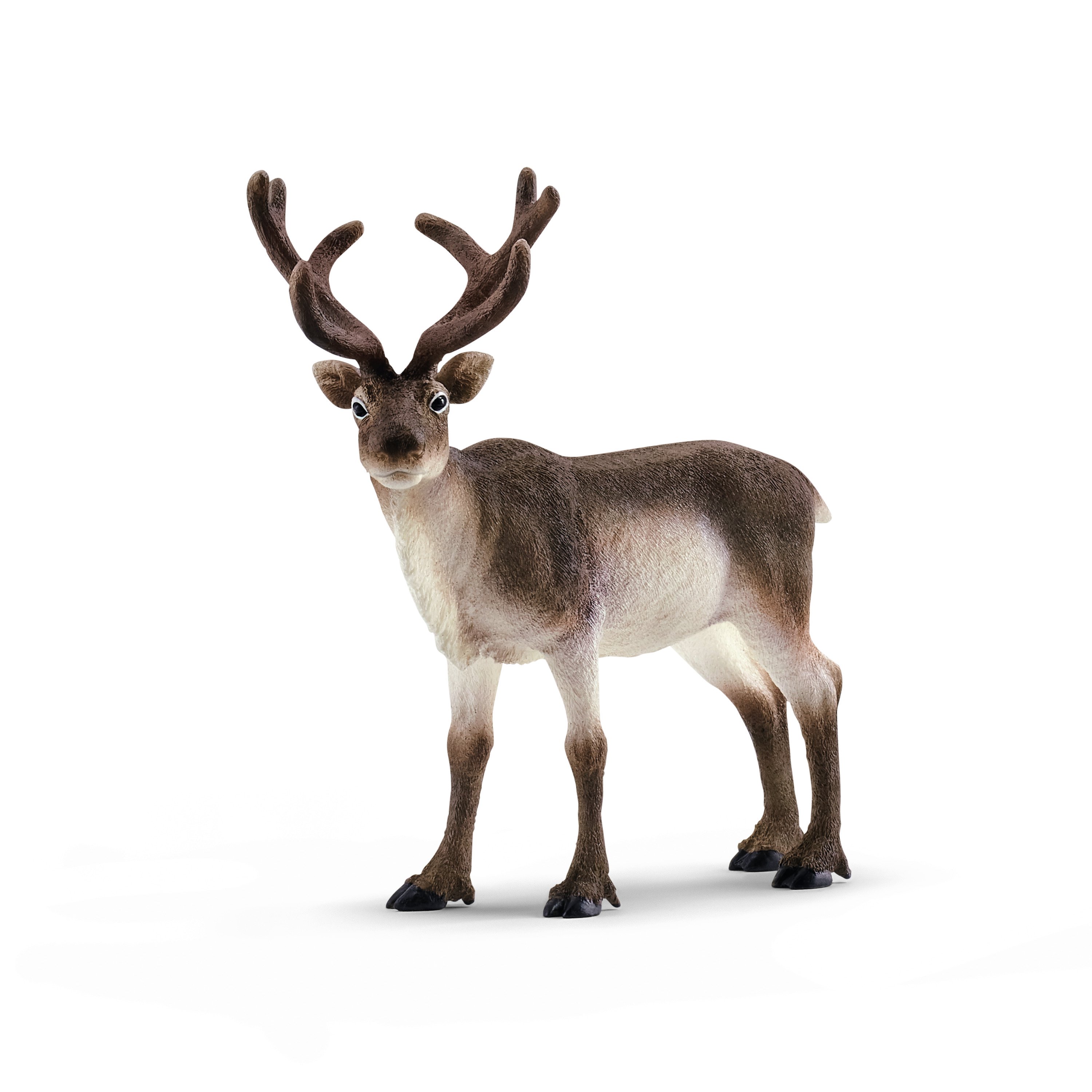 SCHLEICH WILD LIFE Šiaurės Elnias
