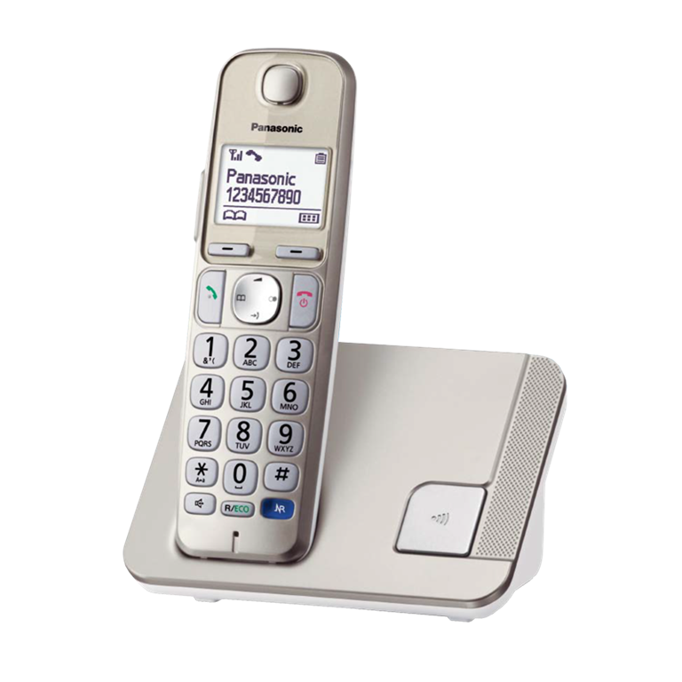 Telefonas PANASONIC KX-TGE210FXN