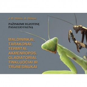 Maldininkai, Tarakonai, Termitai , Akmenropos, Gladiatoriai, Tinkluočiai ir Trūnėsinukai