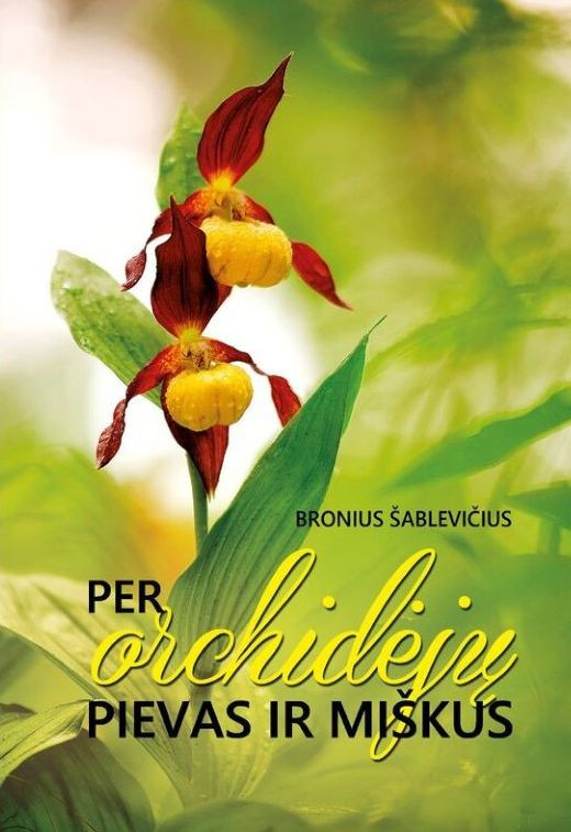 Per orchidėjų pievas ir miškus