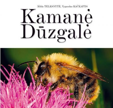 Kamanė dūzgalė